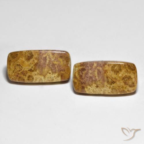 21.66ctw Natural Multicolor Fossil Coral, Cushion, Opaque