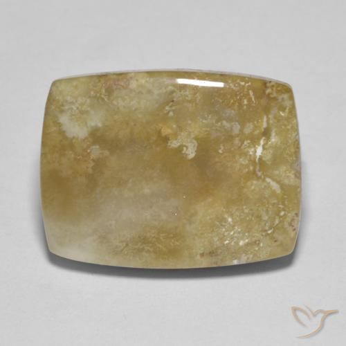 Corail de Fossile Multicolore Coussin 17,1 x 12,8mm d'Indonésie, poids de 10,08 ct, pierre gemme naturelle Non traité de pureté Opaque , 1 pièce de corail fossile cushion cabochon, couleur : Multicolore, dureté de Mohs de 6.5 à 7 convient aux bijoux de tous les jours, pierre de sagesse, Photo A
