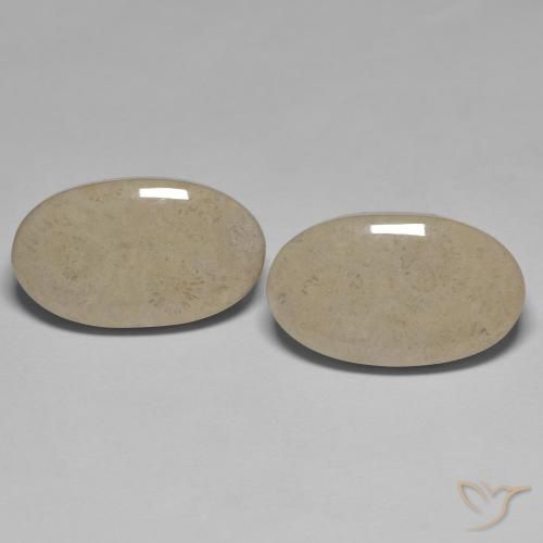 23.47 ct Multicolor Fossil Coral, 20.4 x 11.9 mm Oval Cut From Indonesia, Photo A