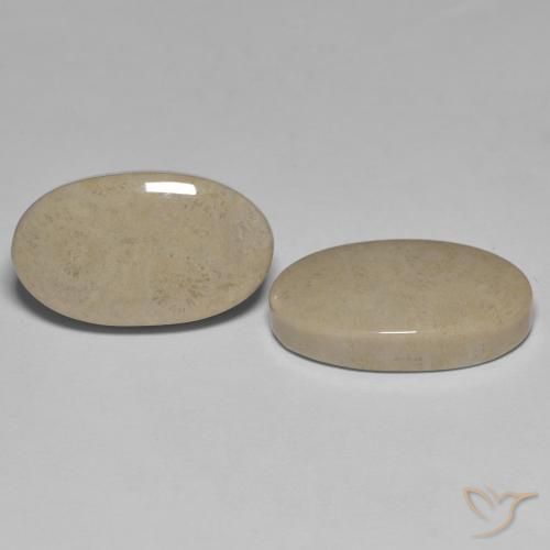 23.47 ctw Multicolor Fossil Coral Stones, Natural Fossil Coral in Oval Cabochon Shape for Sale