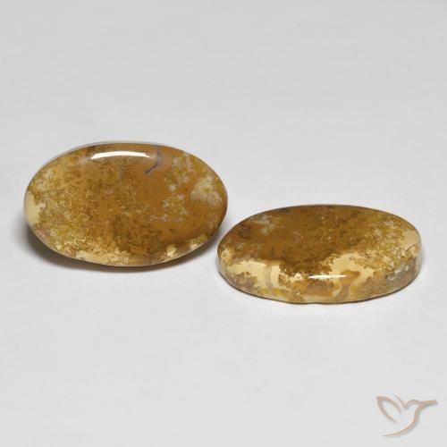 20.87 ctw Multicolor Fossil Coral Stones, Natural Fossil Coral in Oval Cabochon Shape for Sale