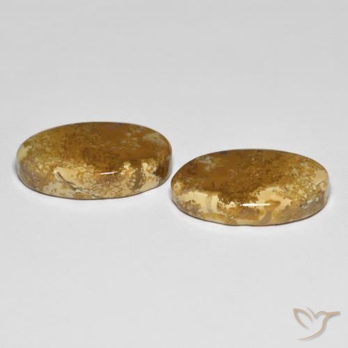 Fossil Coral Gemstones in 19.9 x 12.1 mm Size for Sale, Fossil Coral Stones in Multicolor Color