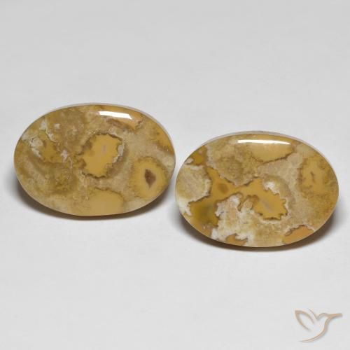 Par de Coral Fósil Ovalada a juego de 19,5 x 13,4mm - Peso 23,71 ct en total / promedio. 11,86 ct cada uno, piedra preciosa natural No tratado, color con claridad Opaco, dureza Mohs 6.5 - 7 Adecuado para joyas de uso diario, Photo A