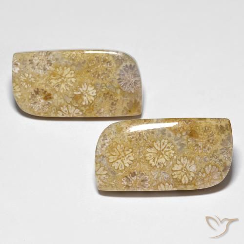 29.71 ct Multicolor Fossil Coral, 22.9 x 11.8 mm Odd Shaped From Indonesia, Photo A