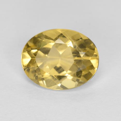 1.5ct Oval Facet Yellow Golden Beryl Gem for sale 1.5ct Oval Facet Yellow Golden Beryl Gem (ID: 305285)