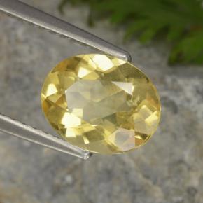 1.48 ct Yellow Golden Beryl Stone, Natural Golden Beryl in Oval Facet Shape for Sale