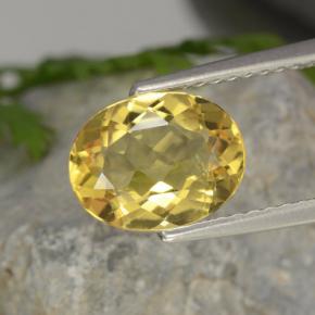 1.52 ct Yellow Golden Beryl Gemstone, Golden Beryl Gem in Oval Facet Shape for Sale.