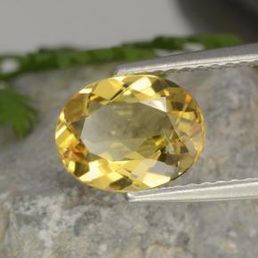 1.52 ct Yellow Golden Beryl Stone, Natural Golden Beryl in Oval Facet Shape for Sale