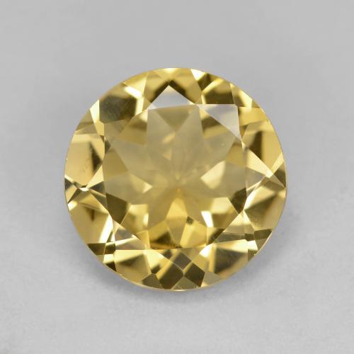 Dijon Yellow Goldener Beryll Edelstein - 2.8ct Rund Facettenschliff (ID: 586775)