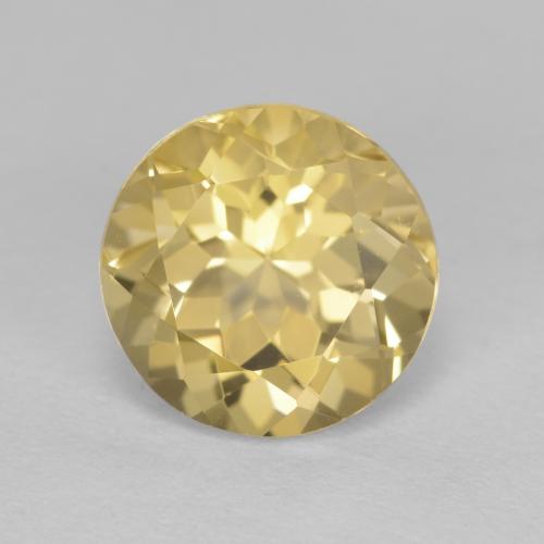 Dijon Yellow Golden Beryl Gem - 2.7ct Round Facet (ID: 602402)
