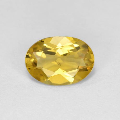 Deep Yellow Golden Beryl Gem - 1.1ct Oval Facet (ID: 603844)