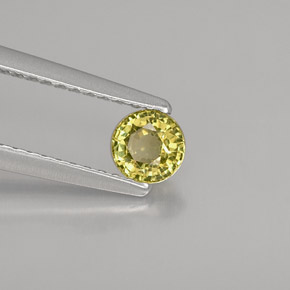 0.37 ct Green Grossularite Garnet Stone, Natural Grossularite Garnet in Round Facet Shape for Sale