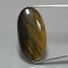 Medium-Dark Brown Occhio di tigre blu Gem - 31ct Ovale cabochon (ID: 384571)