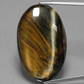 hawk eye gem hawk eye gem