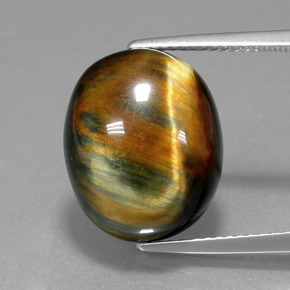 hawk eye gem