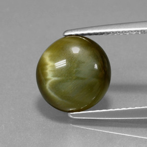hawk eye gem hawk eye gem