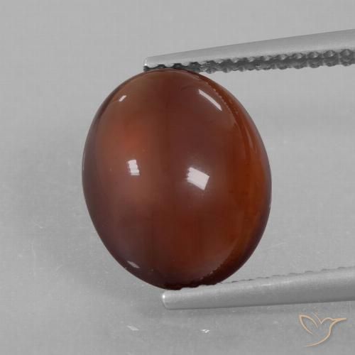 5.35ct Natural Warm Brown Hessonite Garnet, Oval, Translucent