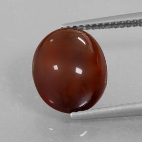 Reddish Brown Hessonite Garnet Gem - 6ct Oval Cabochon (ID: 428223)