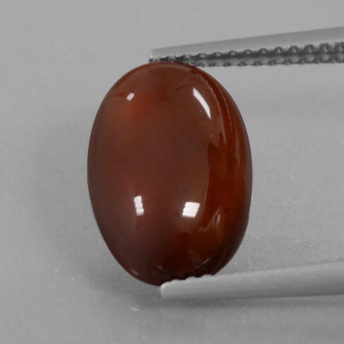 Reddish Brown Hessonite Garnet Gem - 5.4ct Oval Cabochon (ID: 428229)