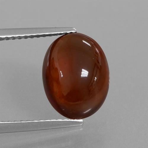 Pecan Brown Hessonite Garnet Gem - 5.4ct Oval Cabochon (ID: 428463)
