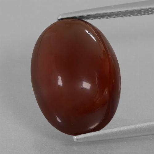 Reddish Brown Hessonite Garnet Gem - 8.1ct Oval Cabochon (ID: 428535)