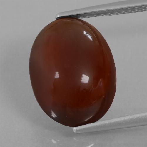 Pecan Brown Hessonite Garnet Gem - 7ct Oval Cabochon (ID: 428536)