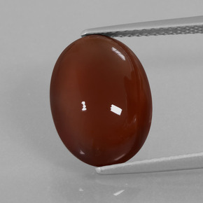 Medium-Dark Brown Hessonite Garnet Gem - 7.1ct Oval Cabochon (ID: 428676)