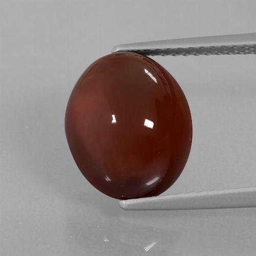 Reddish Brown Hessonite Garnet Gem - 7.2ct Oval Cabochon (ID: 428681)