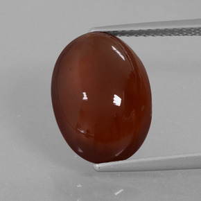 Pecan Brown Hessonite Garnet Gem - 6.9ct Oval Cabochon (ID: 428684)