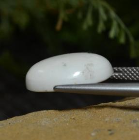 Howlite Gemstone in 16 x 12 mm (calibrated) Size for Sale, Howlite Stone in Light Grayish White Color