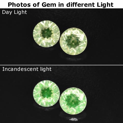 Verde claro Ópalo hialita Gema - 0.1ct Faceta Redonda (ID: 568322)