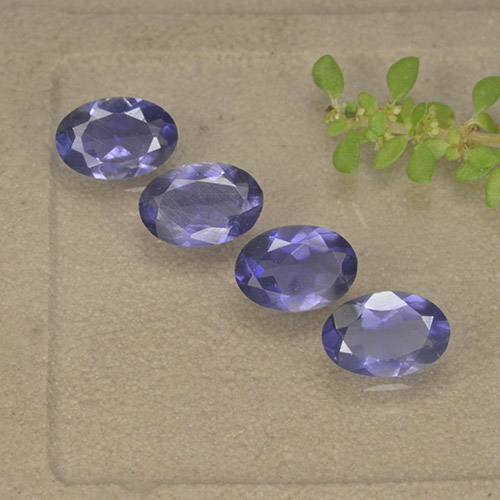 Темно-пурпурный Иолит Камень - 0.4ct Фасетный Овал (ID: 499115)