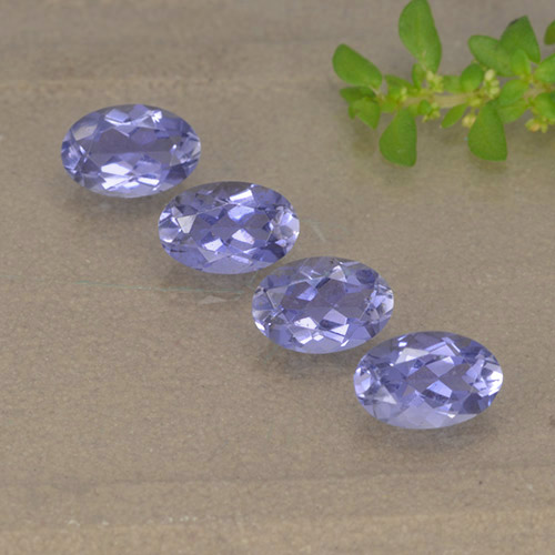 Pinkish Violet Iolite Gem - 0.4ct Oval Facet (ID: 499129)