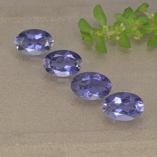 Темно-пурпурный Иолит Камень - 0.4ct Фасетный Овал (ID: 499130)