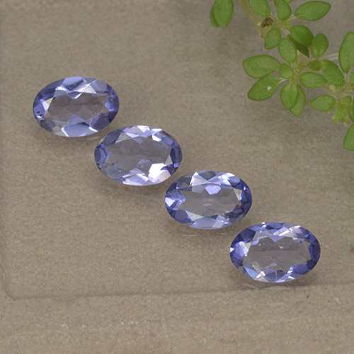 Темно-пурпурный Иолит Камень - 0.3ct Фасетный Овал (ID: 499135)