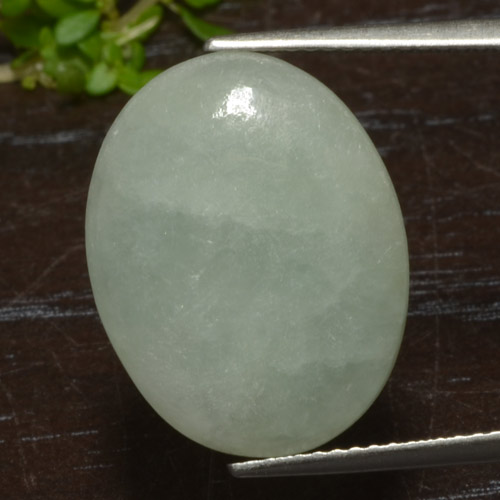 Pale Moss Green Jadeite Gem - 8.5ct Oval Cabochon (ID: 468457)