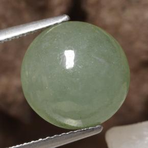 Medium Green Jade Edelstein - 6.7ct Rund Cabochon (ID: 470633)