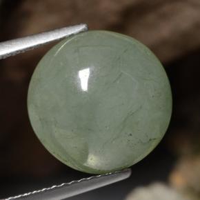 8.6ct Round Cabochon Green Jadeite Gem for sale 8.6ct Round Cabochon Green Jadeite Gem (ID: 470637)