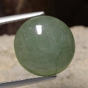 Warm Moss Green Jadeite Gem - 7.1ct Round Cabochon (ID: 470643)