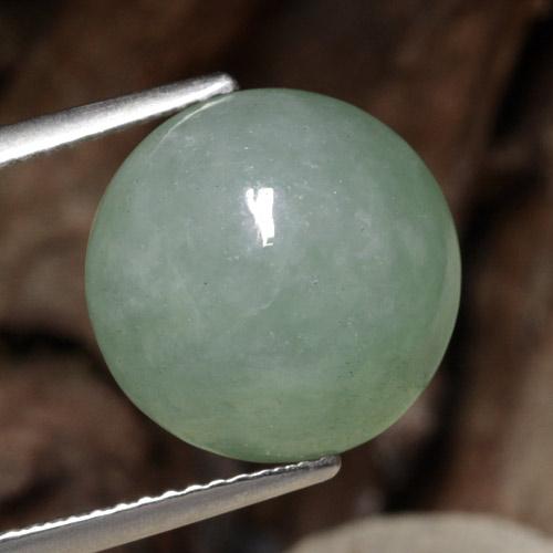 Светло-зеленый Жадеит Камень - 9.7ct Круглый Кабошон (ID: 470646)
