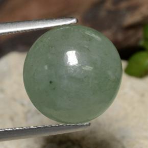 Medium Light Green Jadeite Gem - 6.9ct Round Cabochon (ID: 470716)