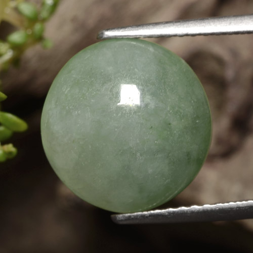7,12ct Cabochon rotondo verde Giadeite dal Myanmar, Dimension 11,8mm, Natural non trattati Gemstone, Translucent Clarity, 1 piece Giadeite in Verde medio Color, Mohs Hardness of 6 - 6,5, Photo A
