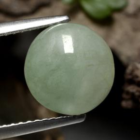 Verde musgoso Jadeíta Gema - 4.2ct Cabujón Redondo (ID: 471152)