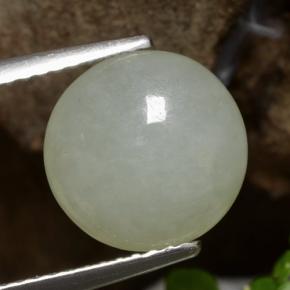 Grayish Green Giadeite Gem - 4.2ct Cabochon rotondo (ID: 471339)