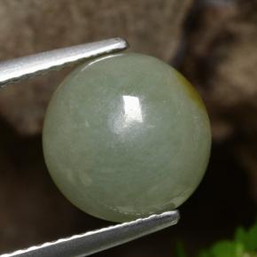 Verde medio Jadeíta Gema - 5.1ct Cabujón Redondo (ID: 471345)
