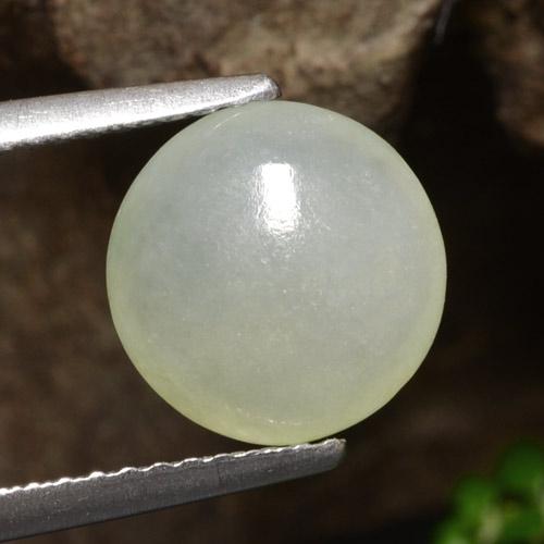 Light Green Jadeite Gem - 2.7ct Round Cabochon (ID: 471390)