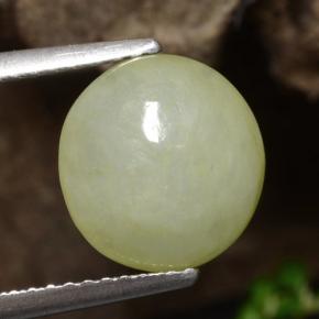 Warm Green Jadeite Gem - 3.4ct Round Cabochon (ID: 471391)