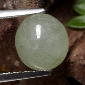 Mossy Green Jadeite Gem - 3ct Oval Cabochon (ID: 471401)