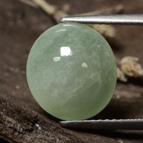 Medium Green Jadeite Gem - 6.5ct Oval Cabochon (ID: 481364)