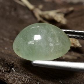 Jadeite Gemstone in 11.9 x 10.8 mm Size for Sale, Jadeite Stone in Medium Green Color